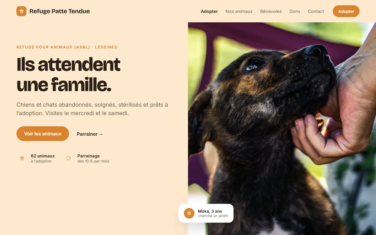 Page d’accueil du projet type Refuge Patte Tendue