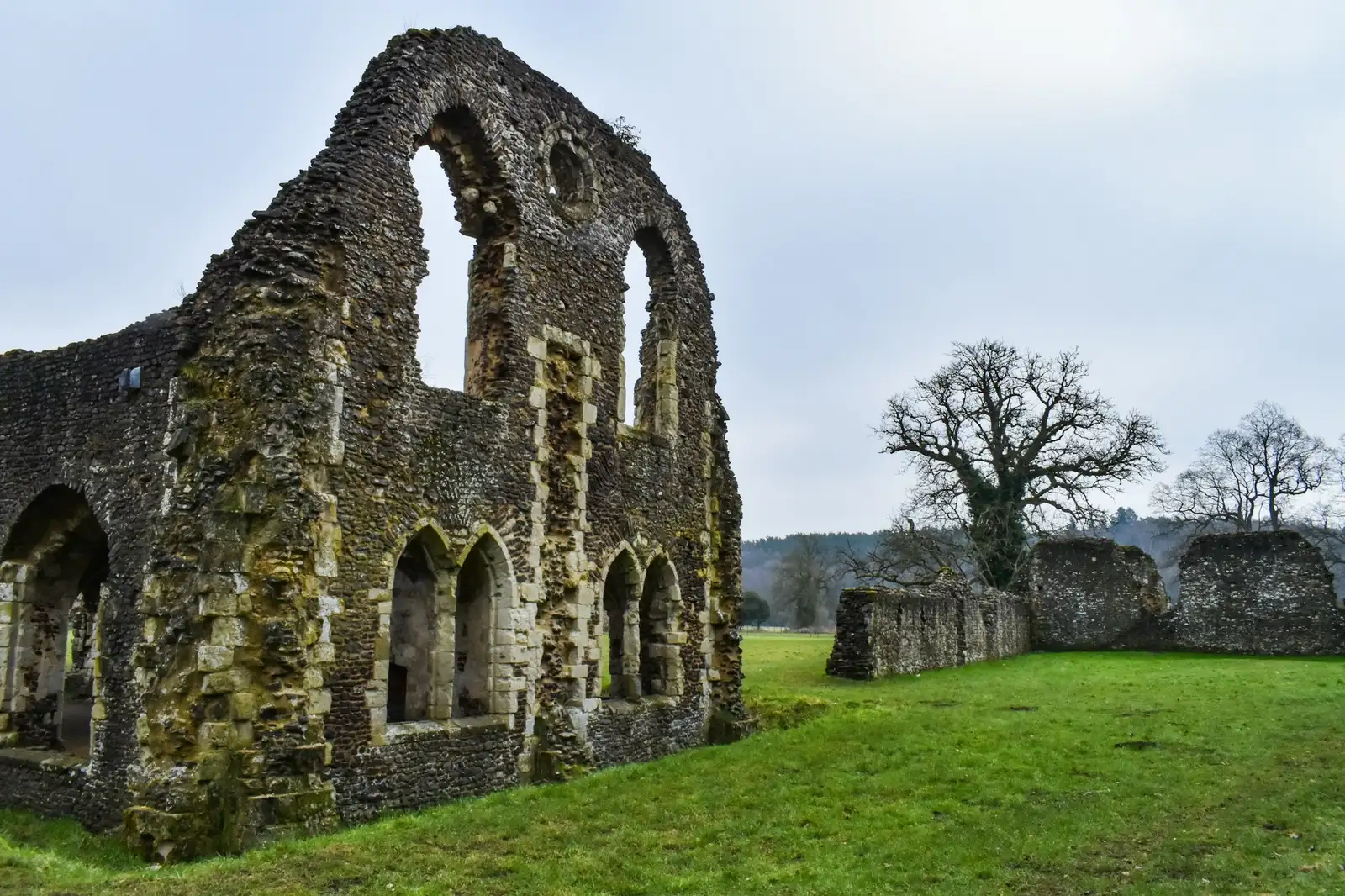 Ruines d’une abbaye dans l’herbe