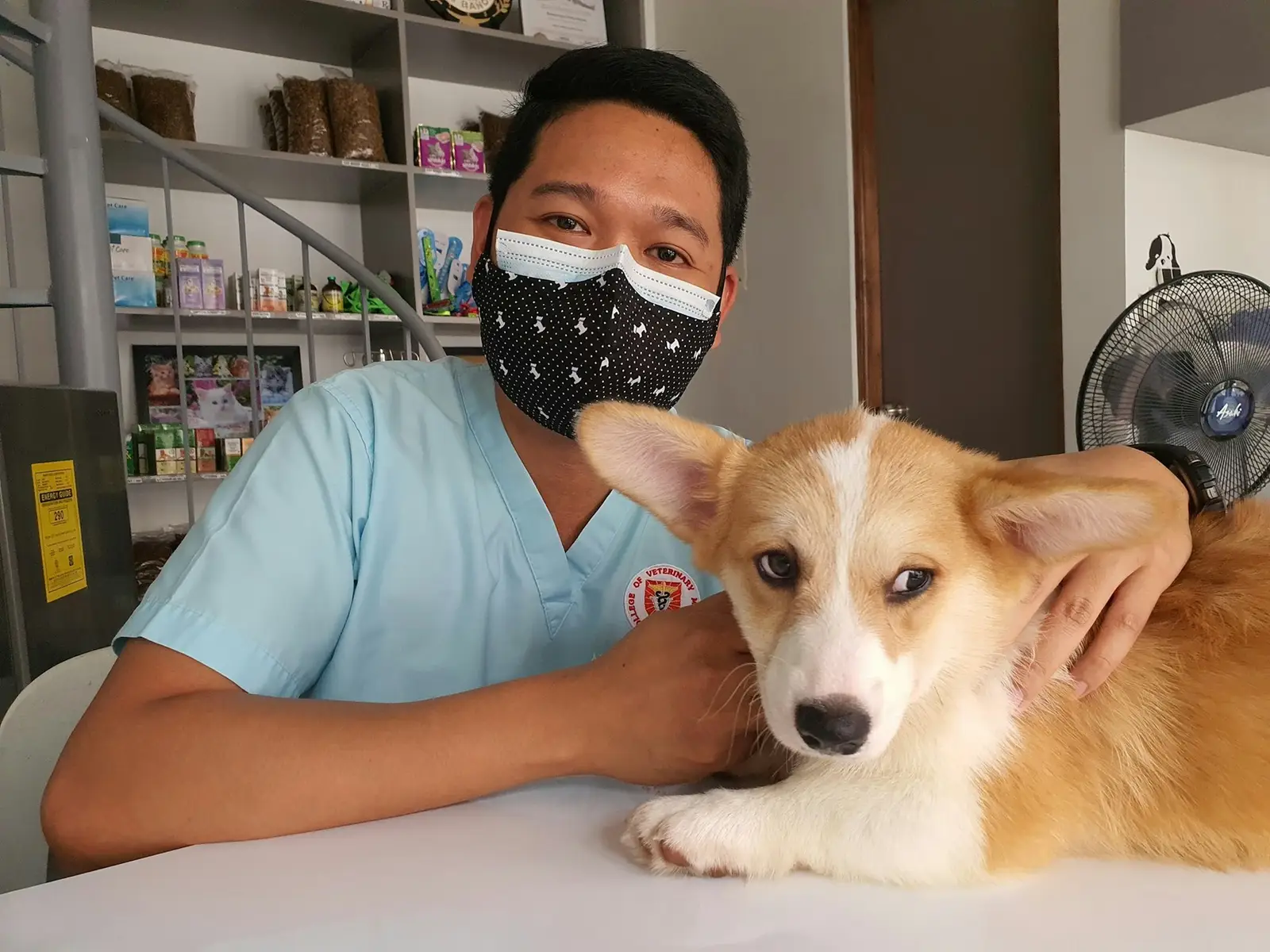 Vétérinaire assis à côté d’un chien